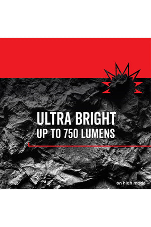 Rayovac Virtually Indestructible LED Spotlight, 750 Lumen Waterproof Spot Flashlight